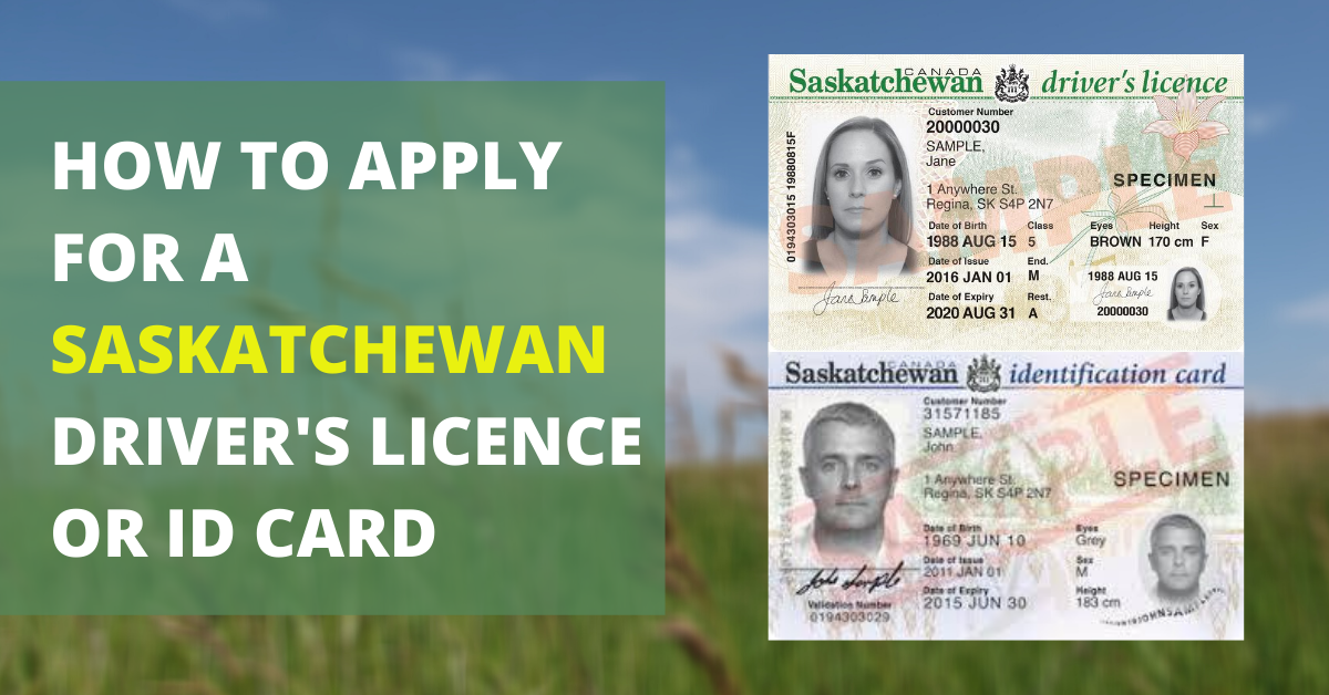 Applying for a Saskatchewan Driver’s Licence or Identification Card
